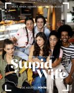 Stupid Wife (Serie de TV)