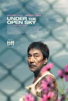 Under the Open Sky  - Posters