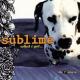 Sublime: What I Got (Music Video)