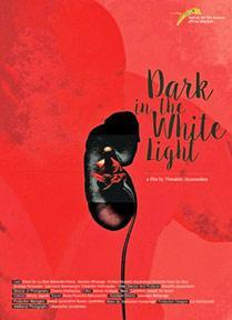 Dark in the White Light  - Posters
