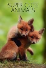 Animales irresistibles (TV)