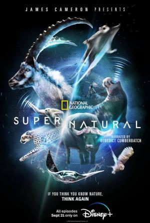 Super/Natural (2022) - Filmaffinity