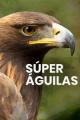 Super Powered Eagles 