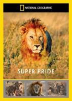 Superpride (Super Pride) (TV) (TV) - Poster / Main Image