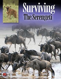 Surviving the Serengeti (TV)