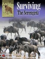 Surviving the Serengeti (TV)
