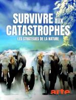 Survivre aux catastrophes: les stratégies de la nature (TV)