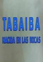 Tabaiba: Nacida en las rocas (S)
