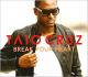 Taio Cruz & Ludacris: Break Your Heart (Music Video)
