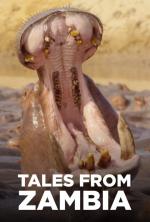 Tales from Zambia (TV Series)