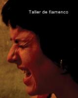 Taller de flamenco  - Promo