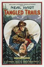 Tangled Trails 