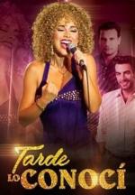 Tarde lo conocí (Serie de TV)
