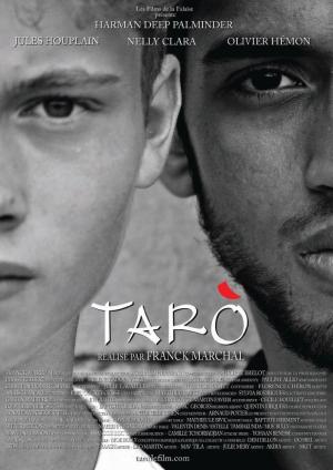 Taro (S)