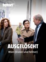 Tatort: Ausgelöscht (TV)