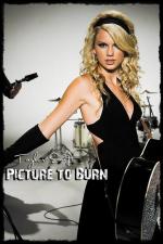 Taylor Swift: Picture to Burn (Vídeo musical)