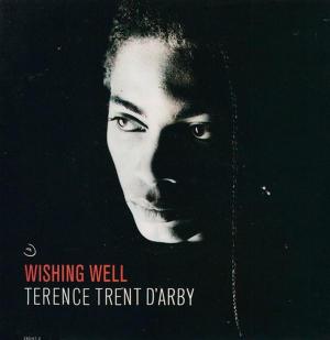 Terence Trent D'Arby: Wishing Well (Vídeo musical)
