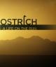 Ostrich: A Life on the Run (TV)