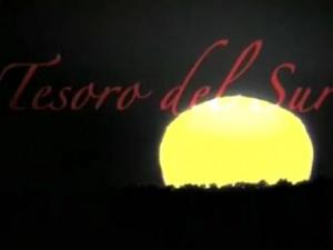 Tesoro del sur (Miniserie de TV)