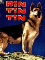 Las aventuras de Rin Tin Tin (Serie de TV) - Poster / Imagen Principal