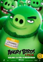 The Angry Birds Movie  - Posters