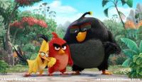 The Angry Birds Movie  - Stills