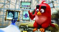 Angry Birds, la película  - Fotogramas