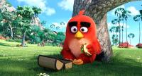 Angry Birds, la película  - Fotogramas