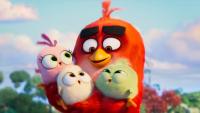 The Angry Birds Movie 2  - Stills