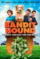 The Bandit Hound 