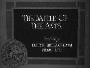 The Battle of the Ants (S)