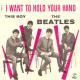 The Beatles: I Want to Hold Your Hand (Vídeo musical)