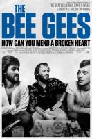 The Bee Gees: How Can You Mend a Broken Heart  - Poster / Main Image