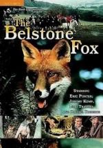 The Belstone Fox 