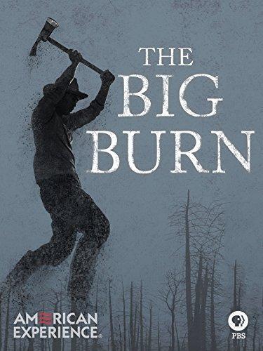 The Big Burn (American Experience)  - Poster / Imagen Principal
