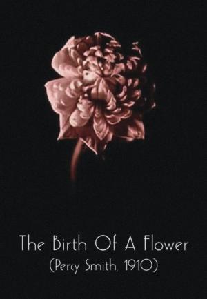 The Birth of a Flower (S)