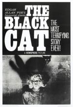 The Black Cat 