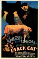 The Black Cat  - Poster / Main Image