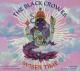 The Black Crowes: Wiser Time (Music Video)