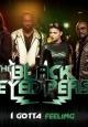 The Black Eyed Peas: I Gotta Feeling (Vídeo musical)