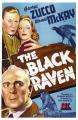 The Black Raven 