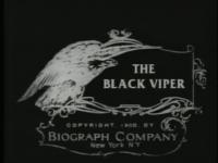 The Black Viper (C) - Poster / Imagen Principal