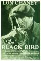 The Blackbird 
