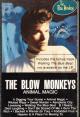 The Blow Monkeys: Digging Your Scene (Vídeo musical)