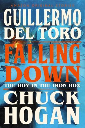 The Boy in the Iron Box 
