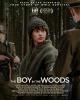 The Boy in the Woods 