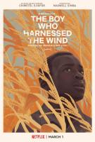 El niño que domó el viento  - Posters