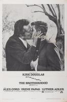 The Brotherhood  - Poster / Main Image