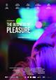 The Business of Pleasure 