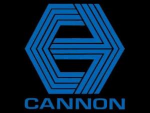 The Cannon Group Inc